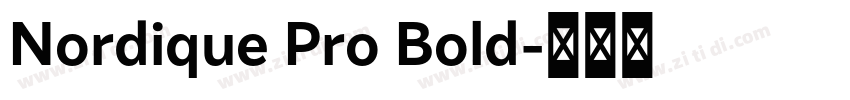 Nordique Pro Bold字体转换